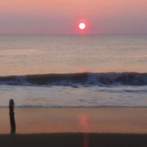 Meet your Posher, Carmen